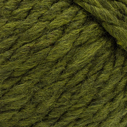 Wool-Ease® Thick & Quick® Recycled Yarn