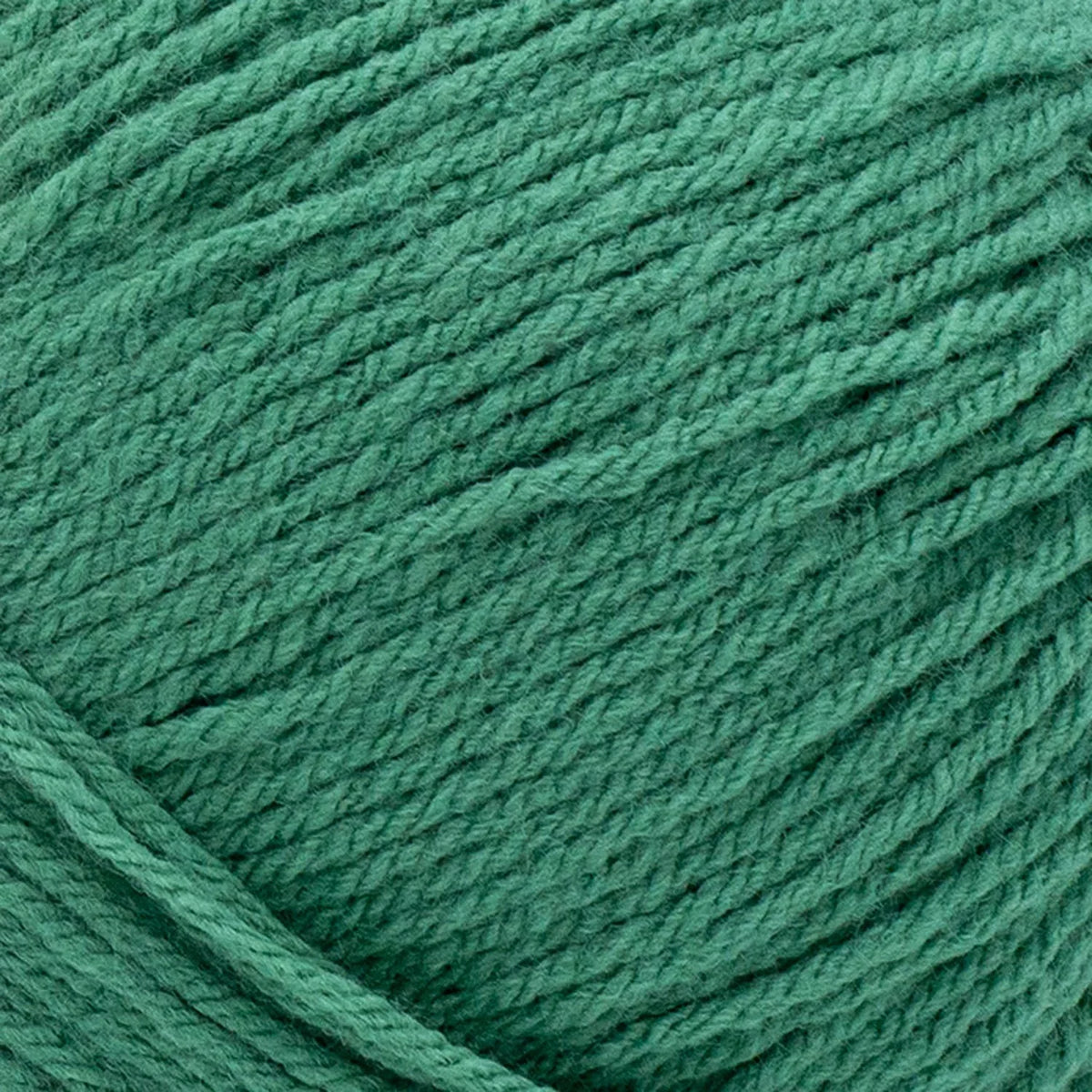 Pound of Love® Yarn