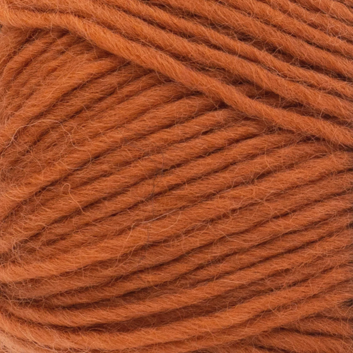 Wool-Ease® Roving Origins Yarn