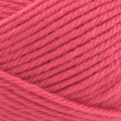 Basic Stitch™ Anti Pilling™ Yarn