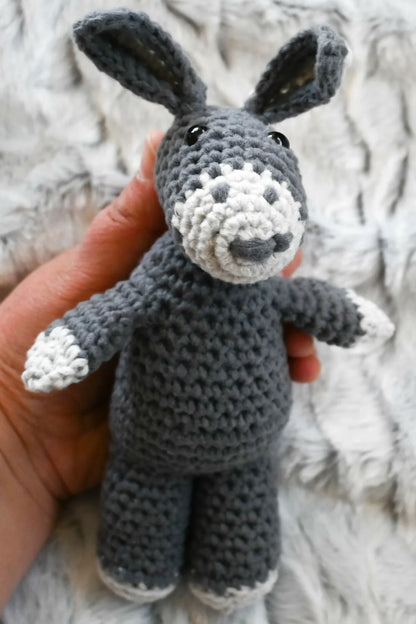 Bernardo Burro (Crochet)