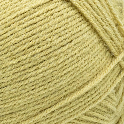 Pound of Love® Yarn
