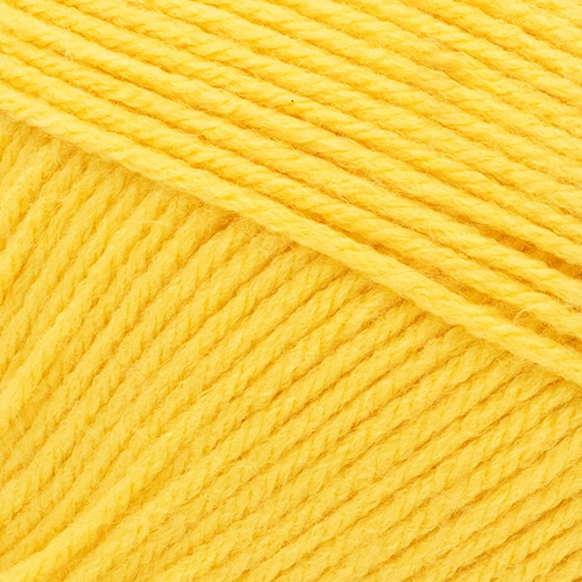 Pound of Love® Yarn