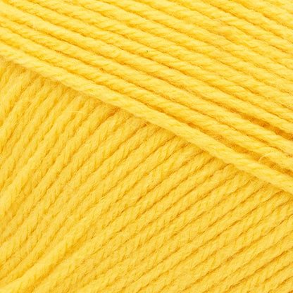 Pound of Love® Yarn