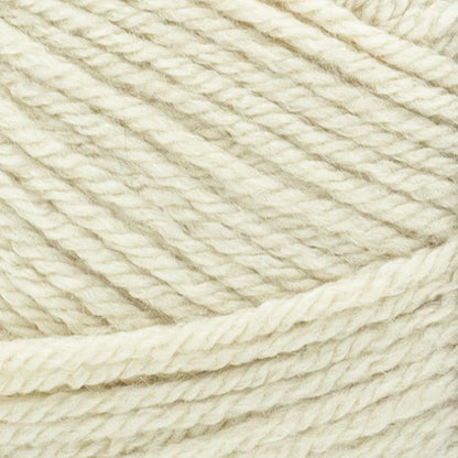 Basic Stitch™ Anti Pilling™ Yarn
