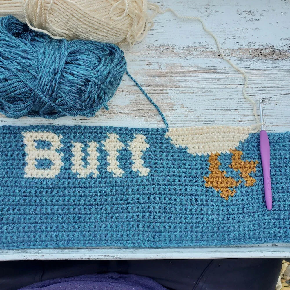 Chicken Butt Pillow (Crochet)