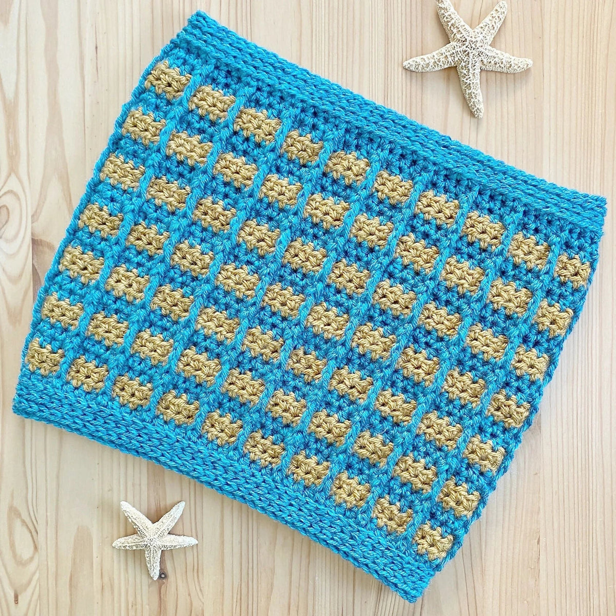 The Sea Star Canopy Cowl (Crochet)