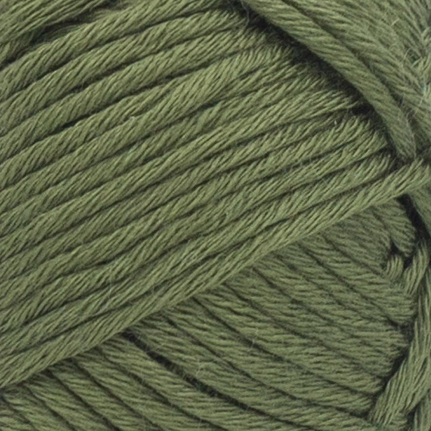 LB Collection® Botanic Yarn