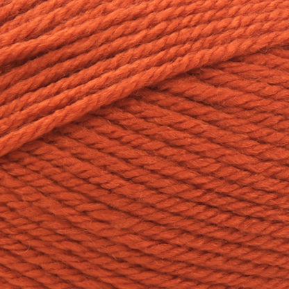 Basic Stitch™ Anti Pilling™ Yarn